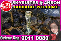 Skysuites@Anson (D2), Apartment #152839842